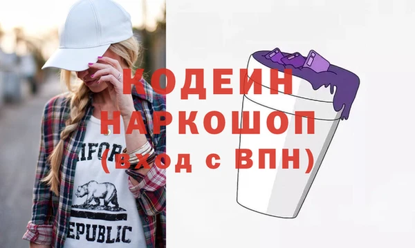 молекула духа Ельня