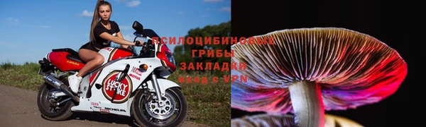 стафф Алзамай