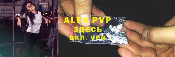 стафф Алзамай