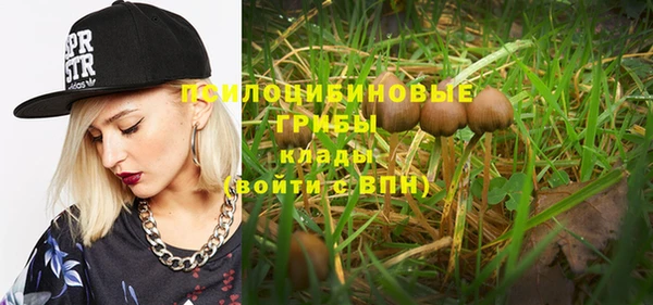МДПВ Алексеевка