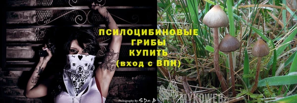 МДПВ Алексеевка