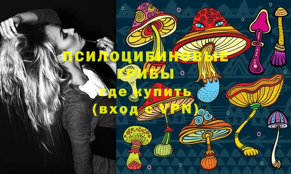 стафф Алзамай