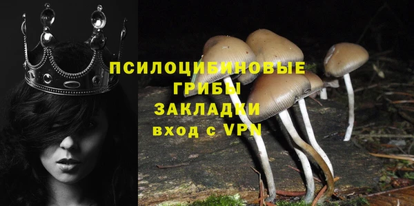 стафф Алзамай