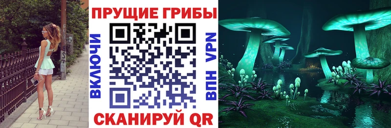 где купить наркоту  Полтавская  Псилоцибиновые грибы прущие грибы 